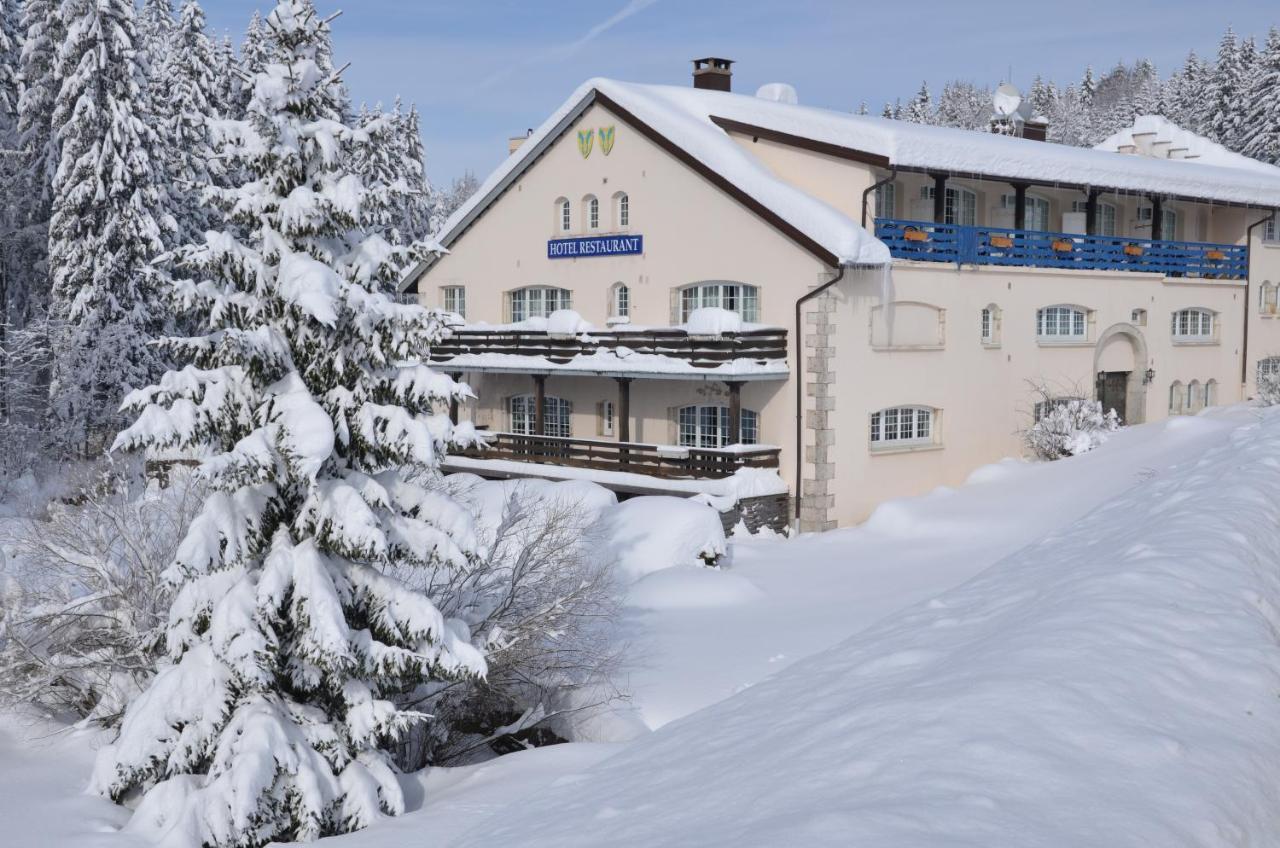 Aux Truites Bleues Hotel Fort-du-Plasne Exterior foto